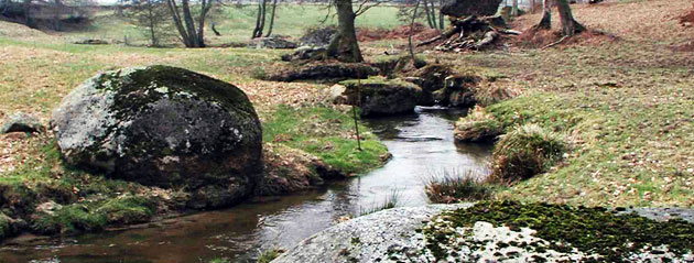 Fédération de pêche d'Ille-et-Vilaine