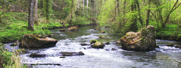 Fédération de pêche de la Mayenne : le Colmont
