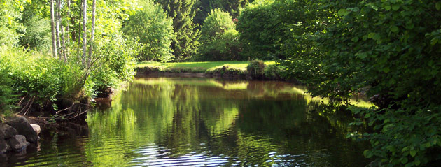 Fédération de pêche de Haute-Saône : Le Breuchin