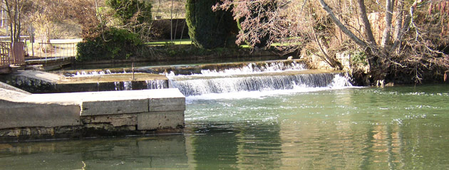 Fédération de pêche de l'Yonne : L'Yonne à Mailly Château